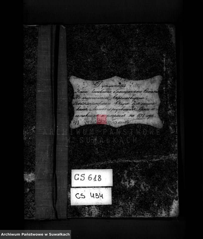 image.from.unit.number "Duplikat knigi Činovnika Graždanskogo Sostojanîja Nechristjanskich věroispovědanii Bakalarževskogo Okruga dlja zapisyvanija Aktov o rodivšichsja, brakosočetavšichsja i umeršich na 1878 god"