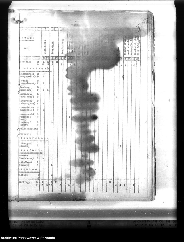 Obraz 7 z jednostki "Statistik der Krankheiten im Wartheland"