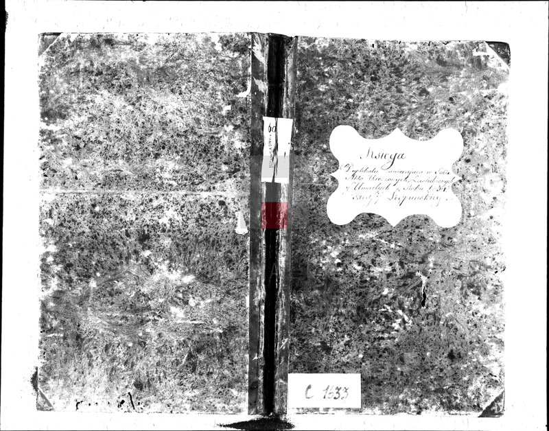 Obraz 2 z jednostki "Księga Duplikatu zawierająca w Sobie Akta Urodzonych, Zaślubionych y Umarłych z Roku 1834 Parafij Leypuńskiey"