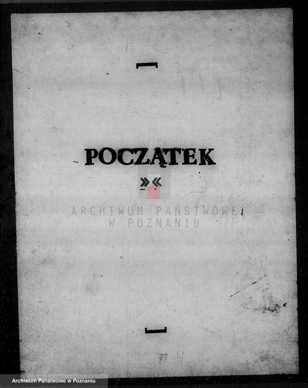 Obraz 3 z jednostki "Lasy majątku Brudzew w powiecie kaliskim"