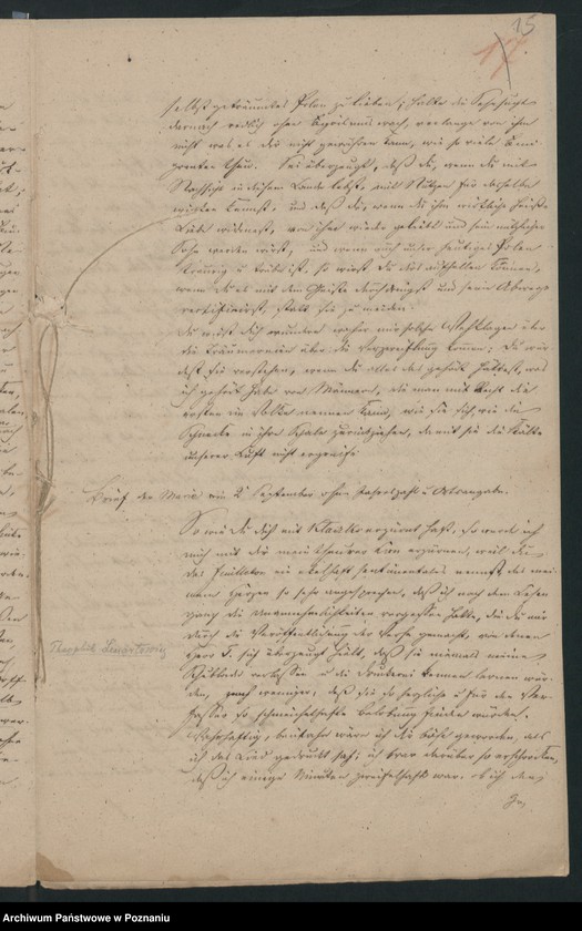 Obraz 19 z jednostki "A. betr. Leo Kaplinski, Maler, Gatte der Pflegetochter des Grafen Sewerin Mielżyński"