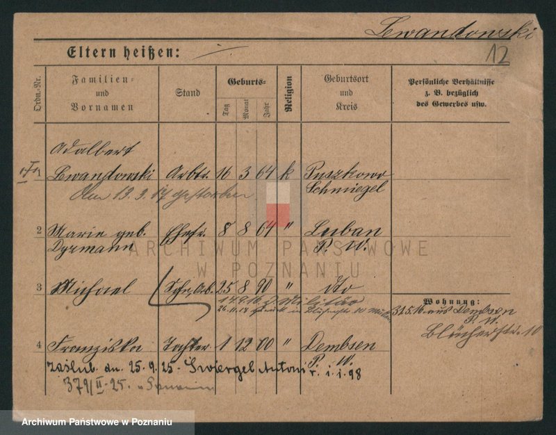 Obraz 12 z jednostki "Lewandowski (żonaci i wdowy)"