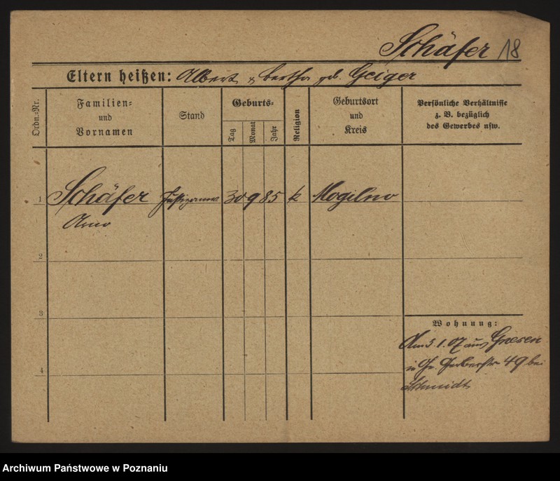 Obraz 20 z jednostki "Szefer (samotni mężczyźni i kobiety) - Szel"