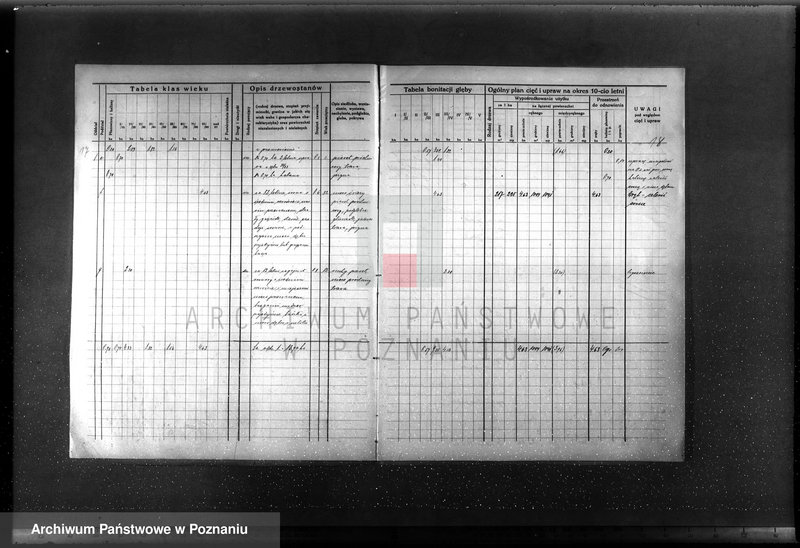 Obraz 20 z jednostki "Plan urządzenia gospodarstwa leśnego majątku Chlewiska w powiecie szamotulskim"