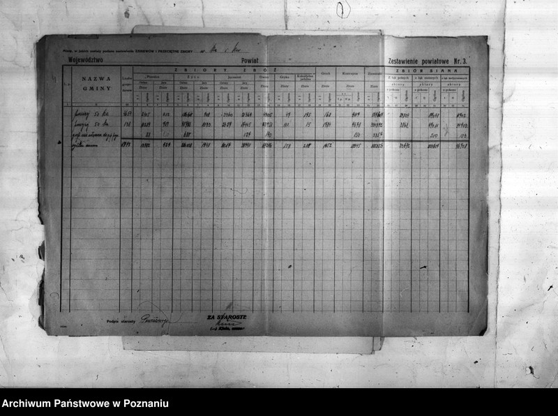 Obraz 6 z jednostki "/Statystyka produkcji rolnej - zestawienie ogólne z powiatu chodzieskiego"