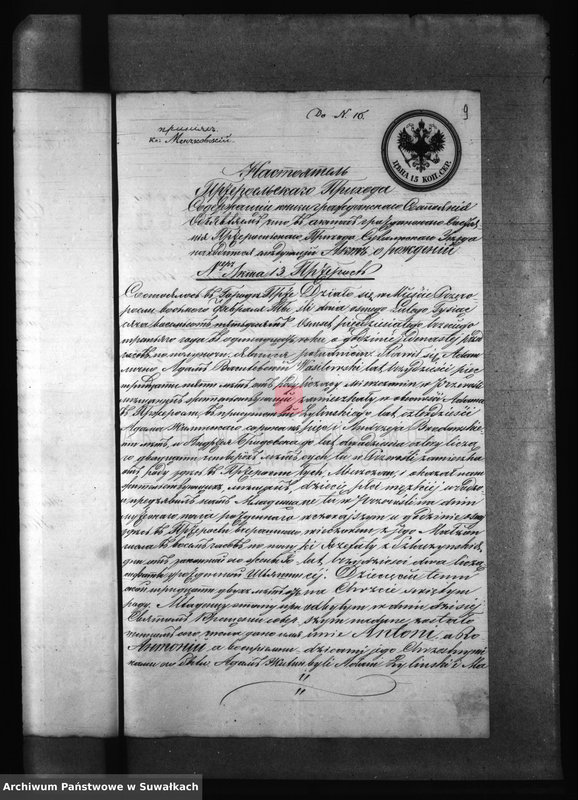 Obraz 13 z jednostki "Kniga s dokumentami Filipovskago Rimsko Katoličeskago Prichoda v 1873 godu"