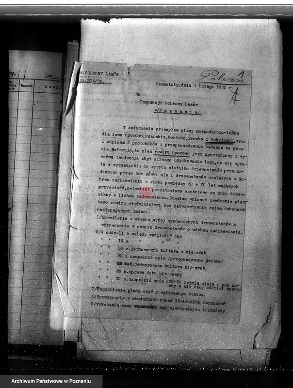 Obraz 5 z jednostki "Nadzór nad gospodarką w lasach majętności Kobylniki powiat kościański"