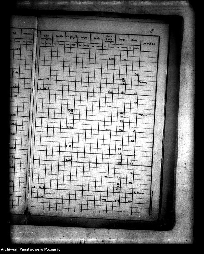 Obraz 12 z jednostki "Rejestry pomiarowe gruntów wydzielonych z majątku Łukom i oddanych w zamian za serwituty na własność wsi Myszakówek powiatu konińskiego"