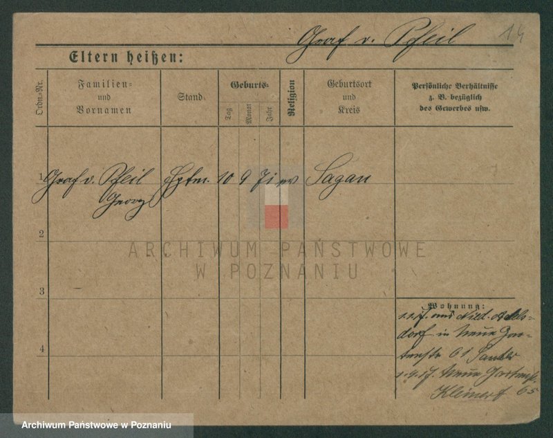 Obraz 16 z jednostki "Pfeifke - Pfleging"