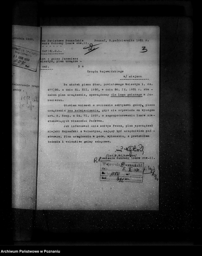 Obraz 7 z jednostki "Las gminy Jaromierz powiat wolsztyński"