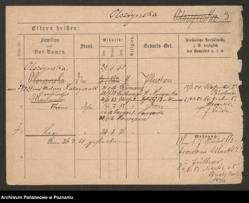 Obraz 5 z jednostki "Olszog - Opielewicz"