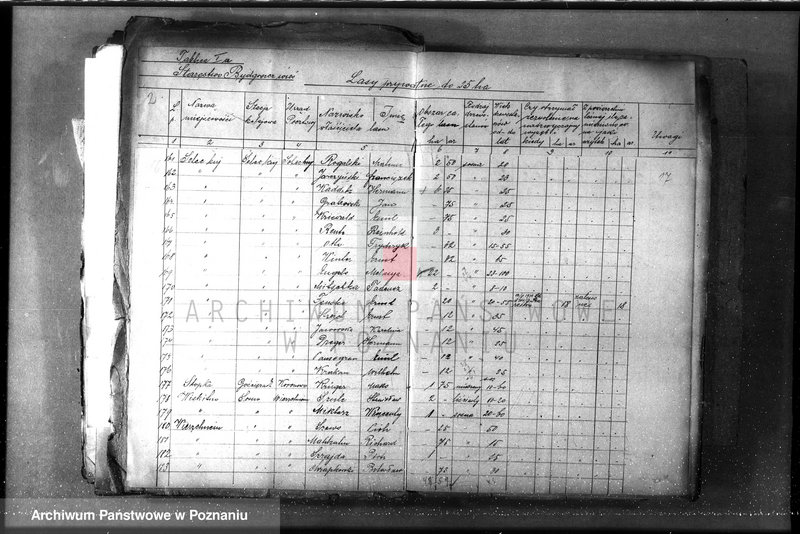 Obraz 13 z jednostki "/Lasy prywatne/ Spis według powiatów"