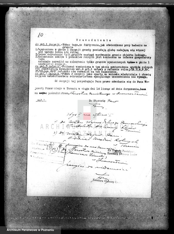 Obraz 14 z jednostki "Majątek Wierzbiczany w powiecie inowrocławskim /nadzór nad gospodarką leśną"