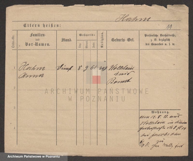 Obraz 11 z jednostki "Ham - Hamzykiewicz"