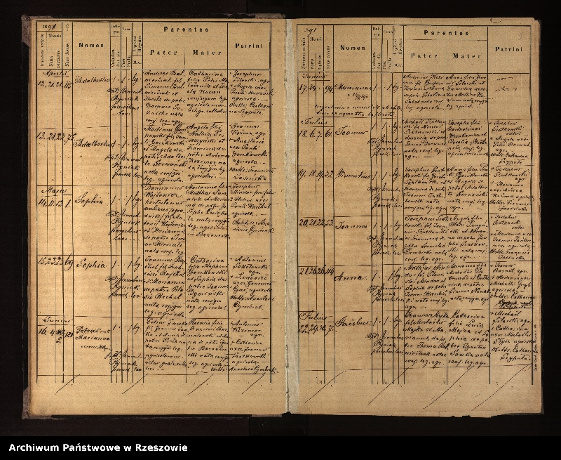 image.from.unit.number "Księga urodzeń, małżeństw i zgonów dla miejscowości Nowotaniec, Nadolany, Nagórzany, Pielnia, Wola Sękowa, Wola Jaworowa, Puławy"