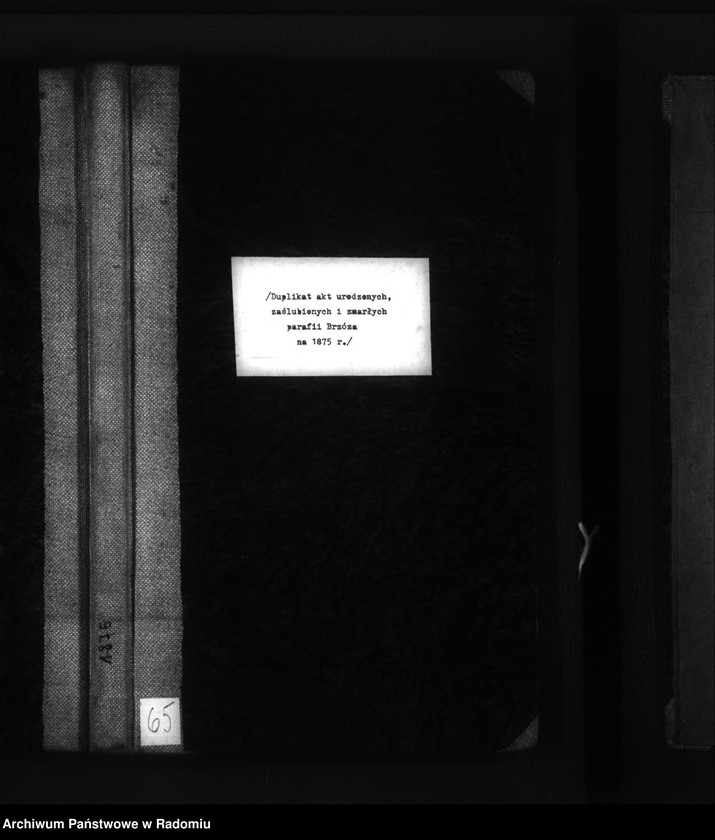 image.from.unit.number "[Duplikat akt urodzonych, zaślubionych i zmarłych parafii Brzóza na 1875 r.]"