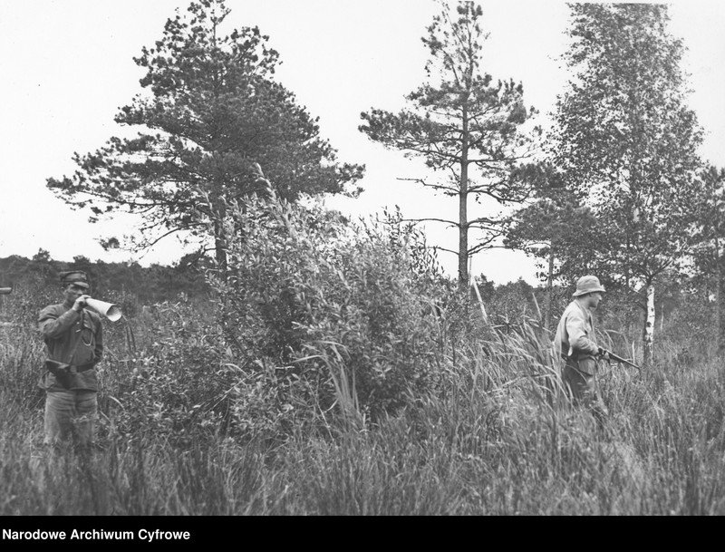 image.from.unit.number "Polowanie na łosie w majątku hrabiego Jarosława Potockiego"