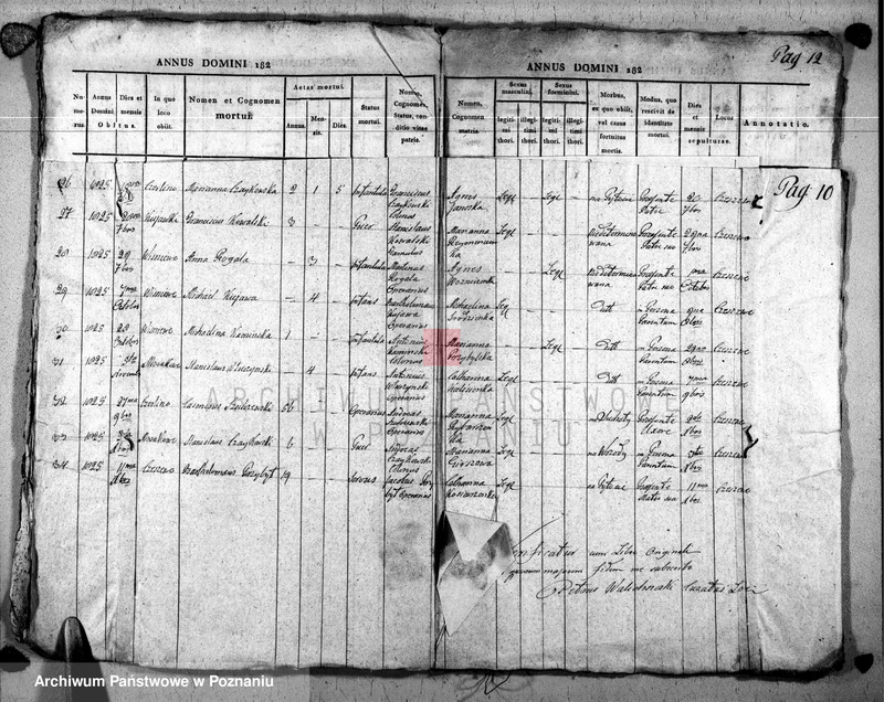 image.from.unit.number "Duplikat baptisatorum, copulatorum u. mortuorum"