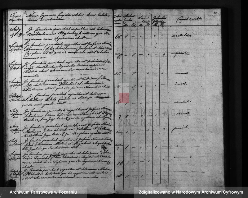 Obraz 13 z jednostki "Liber mortuorum"