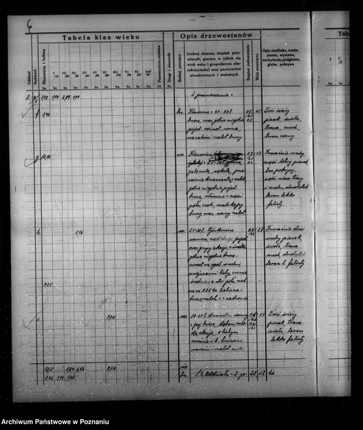 Obraz 10 z jednostki "Program urządzenia gospodarstwa leśnego dla lasu majątku Borowy-Młyn w powiecie międzychodzkim/"