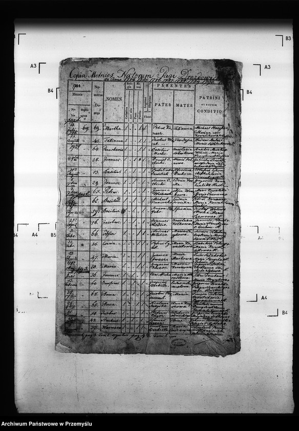 Obraz 5 z jednostki "[Kopie ksiąg metrykalnych parafii Drozdowice z filiami Stroniowice, Wielunice (dekanat Niżankowice)]"