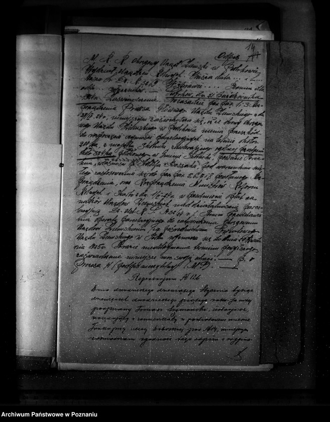 Obraz 19 z jednostki "Sprawa zatwierdzenia projektu planu gospodarstwa leśnego dla lasu majątku Czepów-Dolny powiat turecki"