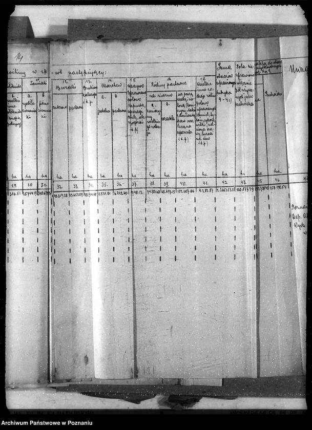 Obraz 20 z jednostki "Statystyka"