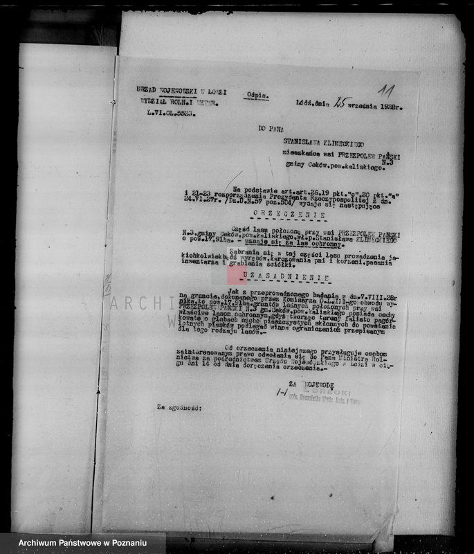 Obraz 15 z jednostki "Gmina Ceków w powiecie kaliskim nadzór nad gospodarką w lasach"