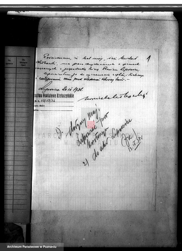 Obraz 5 z jednostki "Las majątku Lipowiec powiat krotoszyński"