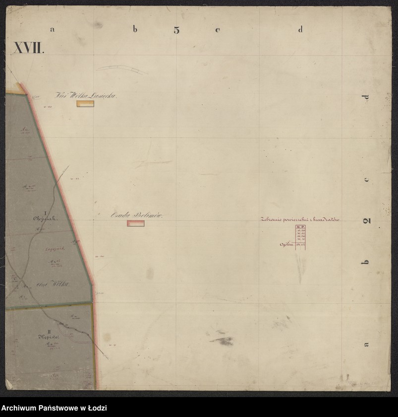 Obraz 16 z jednostki "Pierworys pomiaru dóbr prywatnych Nieborów składających się z folwarków Nieborów, Zygmuntów, Łasieczniki, Jasionna, Wólka Łasiecka, Kaczew, Polesie, Chyleniec ... oraz przyległych lasów ..."