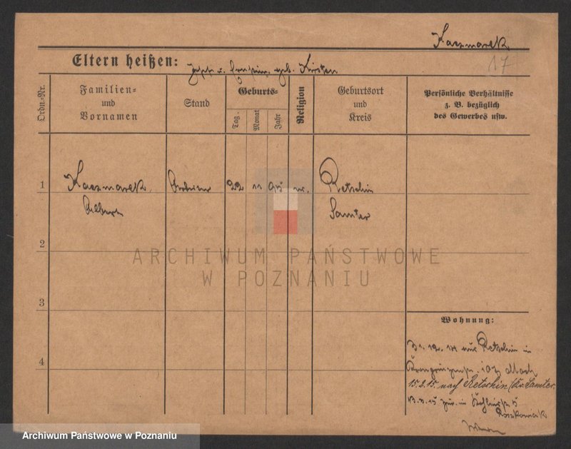 Obraz 17 z jednostki "Kaczmarek A-H (samotni mężczyźni)"