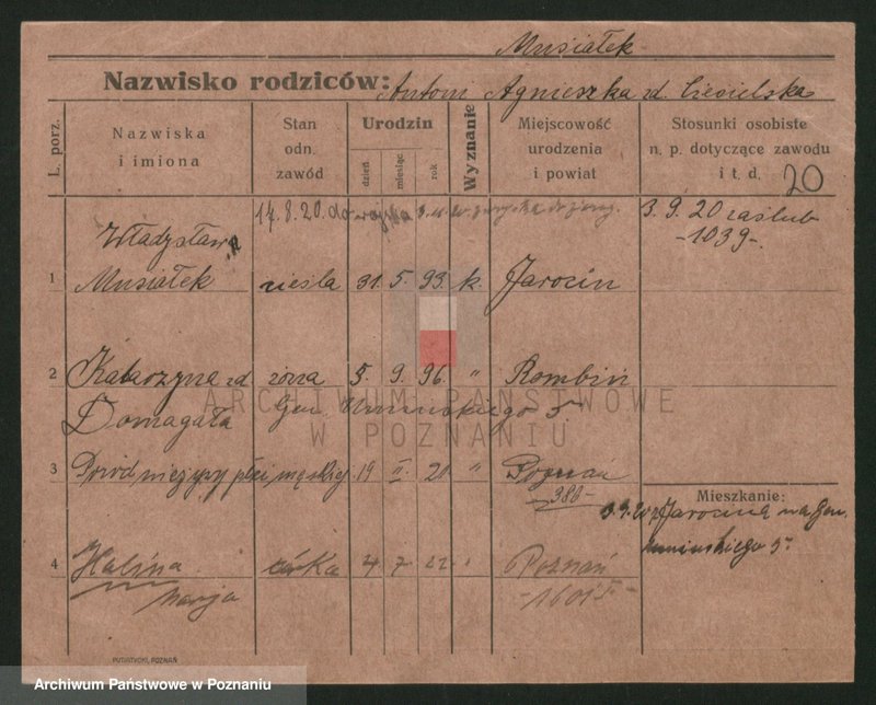 Obraz 20 z jednostki "Musiała - Muskieta"