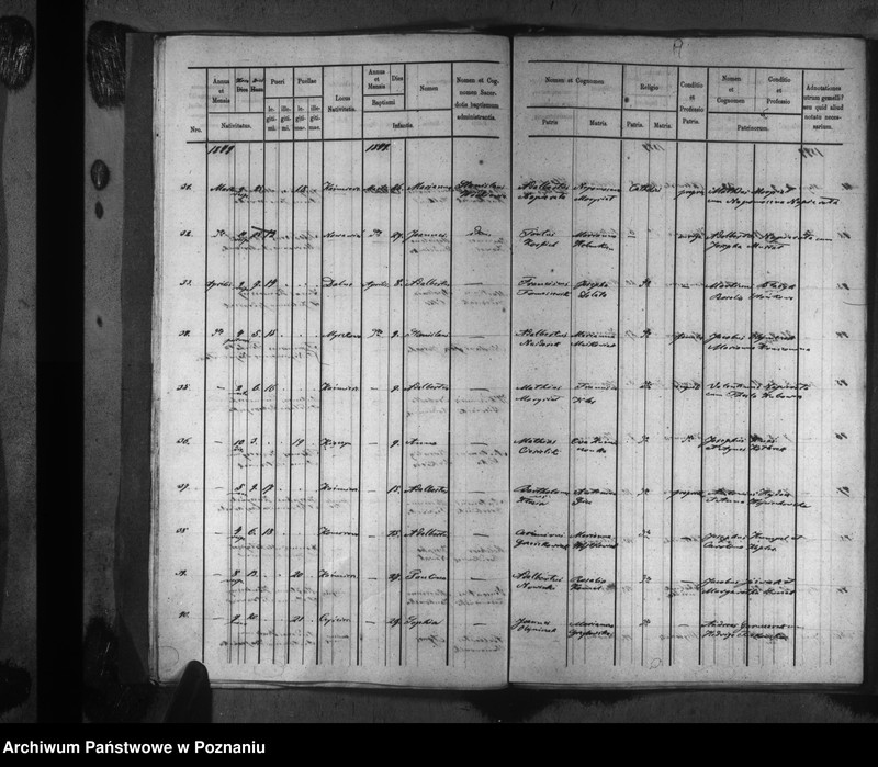 image.from.unit.number "Liber baptisatorum"