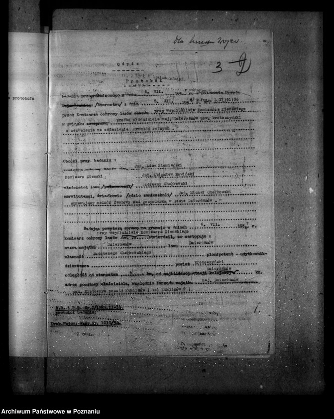 Obraz 7 z jednostki "Las majętności Dzierzanów powiat krotoszyński"