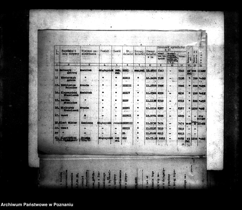Obraz 19 z jednostki "Parcelacja majątku Prusim-Rozbitek powiatu międzychodzkiego"