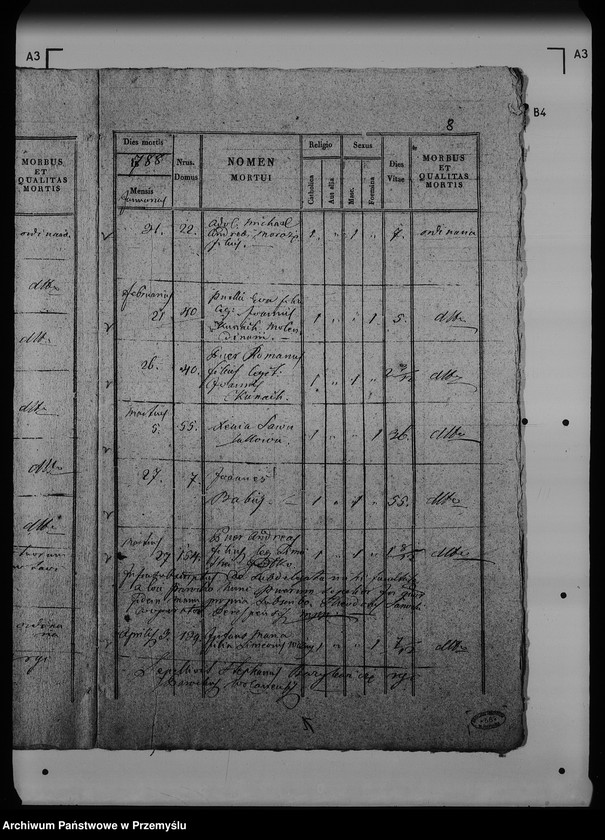 Obraz 13 z jednostki "[Kopie ksiąg metrykalnych parafii Wólka Mazowiecka (dekanat Rawa Ruska)]"