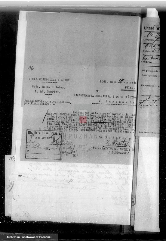 Obraz 19 z jednostki "Las miasta Tuliszkowo powiat koniński"