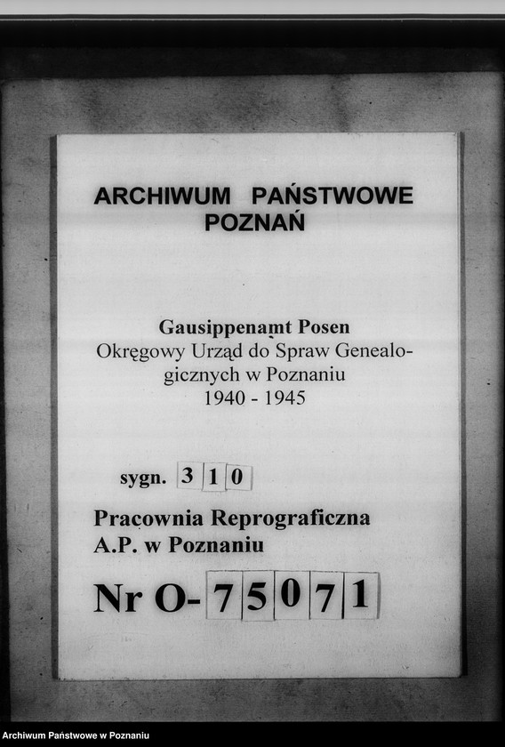 Obraz 1 z jednostki "Personenstandsregister der Judengemeinde /[owiaty: czarnkowski, obornicki, szamotulski]"