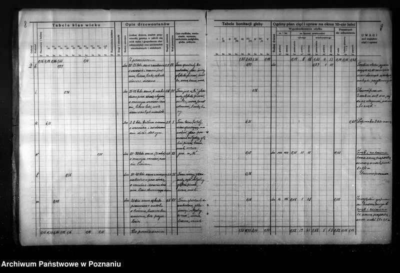 Obraz 9 z jednostki "Plan gospodarstwa leśnego dla lasu Jaegera Waltera gmina Zatom Nowy powiat międzychodzki 1933-1944"