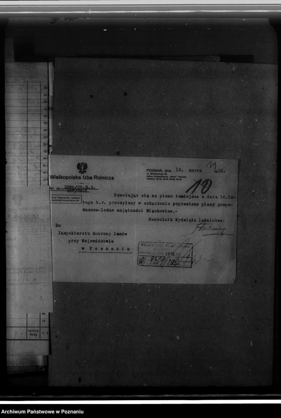 Obraz 15 z jednostki "Majętność leśna Więckowice powiat poznański"