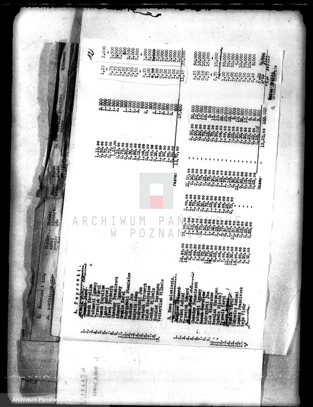 Obraz 16 z jednostki "/Sprawozdania z zalesienia nieużytków na terenie powiatu kępińskiego"