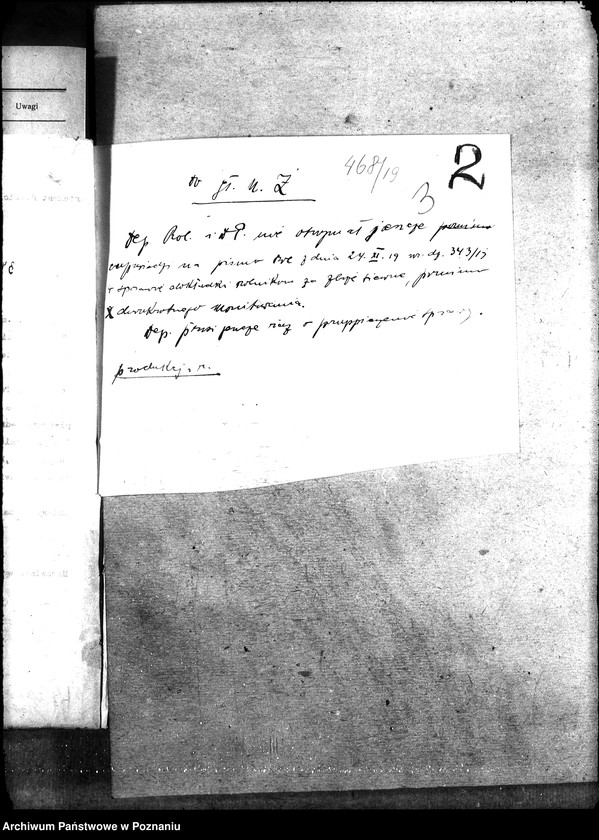 Obraz 8 z jednostki "Zboże siewne i sadzonki"