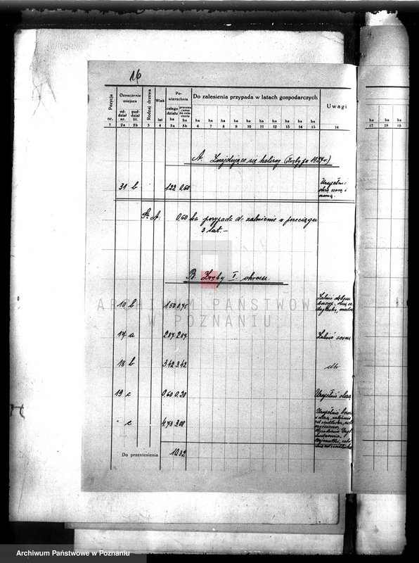 image.from.unit.number "Plan urządzenia gospodarstwa leśnego dla lasu majętności Białokosz powiat międzychodzki 1929-1939"