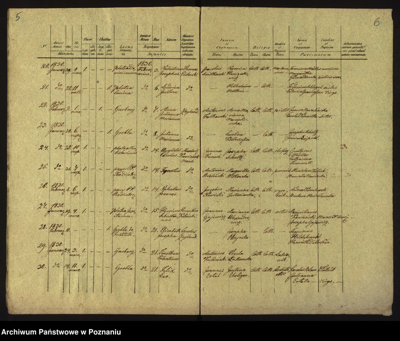 Obraz 6 z jednostki "Księga urodzin"