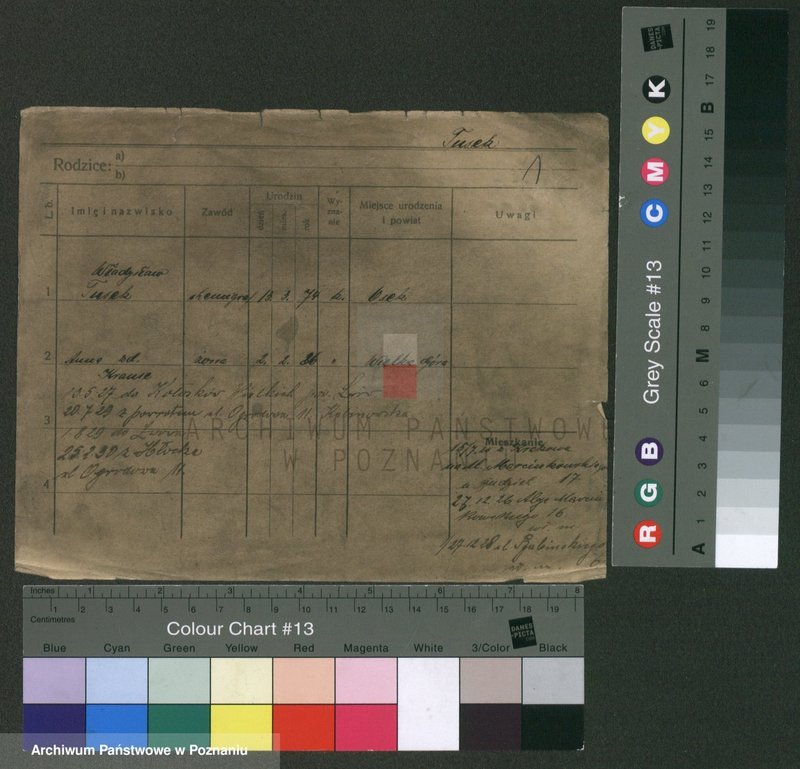 Obraz 5 z jednostki "Tusek - Twudowski"