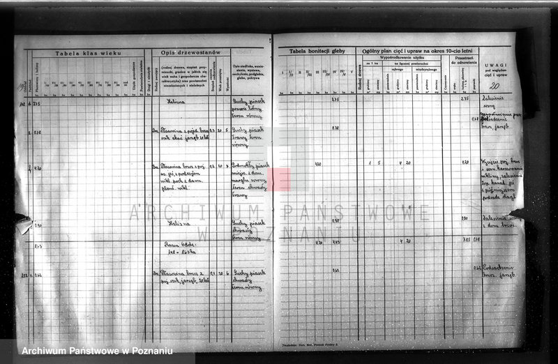 image.from.unit.number "Dodatkowy plan urządzenia gospodarstwa leśnego dla lasu ordynacji Obrzycko powiat szamotulski 1937-1938"