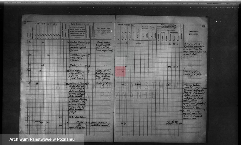 Obraz 19 z jednostki "Probostwo Stoki" powiat międzychodzki plan urządzenia gospodarstwa leśnego"