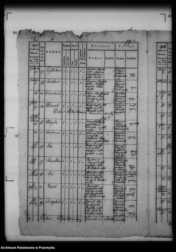 Obraz 7 z jednostki "[Kopie ksiąg metrykalnych parafii Szmitków z filiami Moszków, Sawczyn (dekanat Bełz)]"
