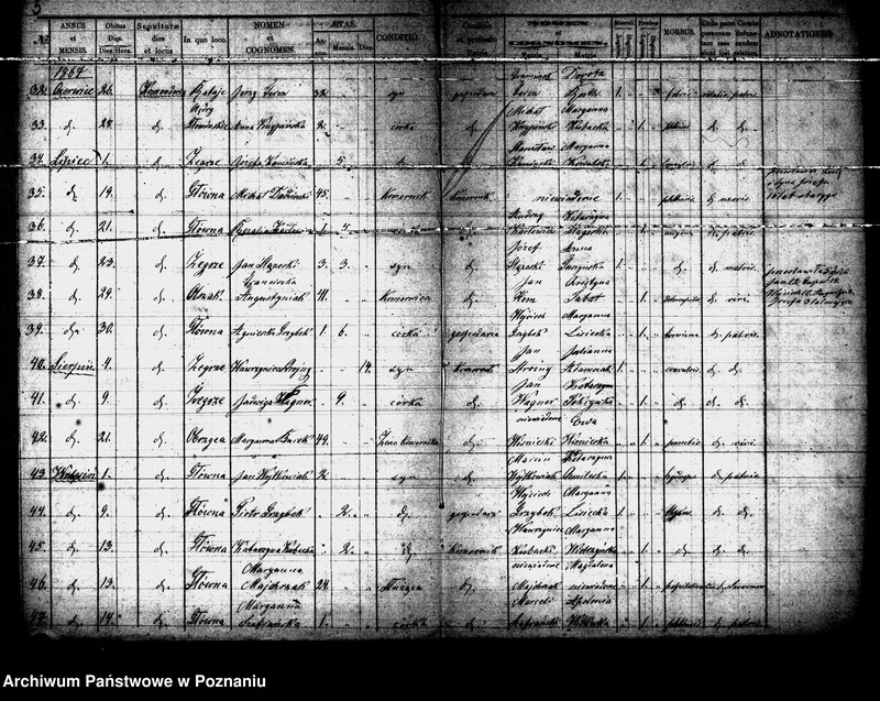 Obraz 4 z jednostki "Księga zgonów"