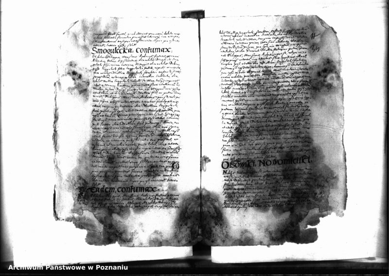 Obraz 14 z jednostki "Decreta officii [inducta]"